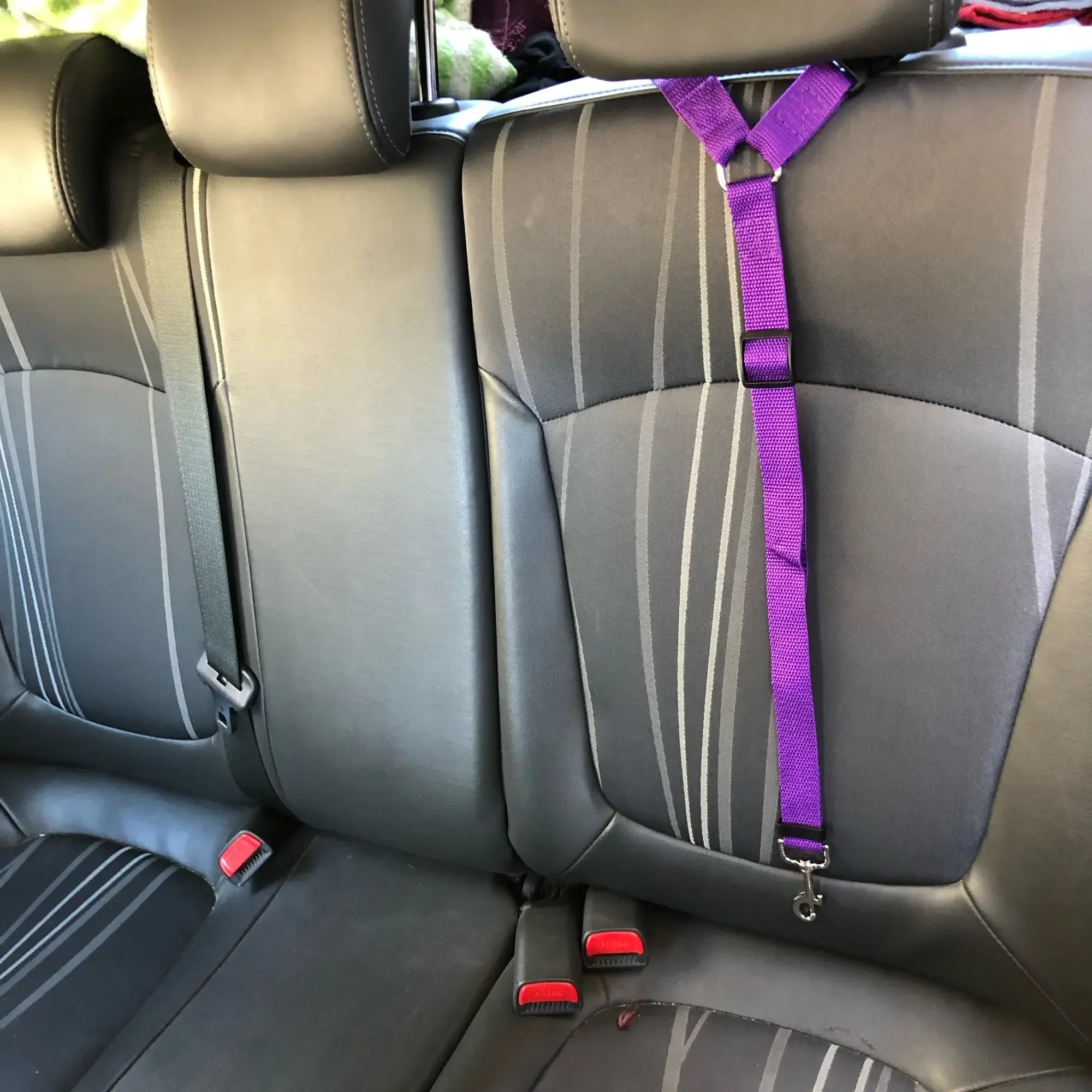 Headrest Lead