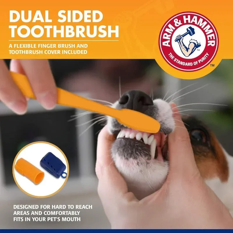 Teeth Cleaning Kit