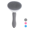 Bristle Brush