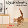 Automatic Cat Laser