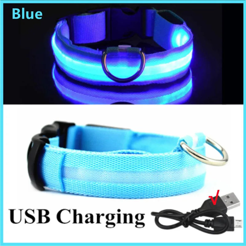 LED Collar