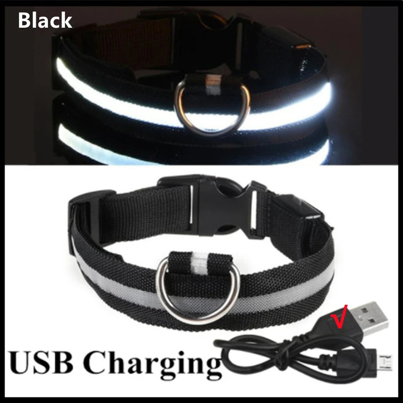 LED Collar