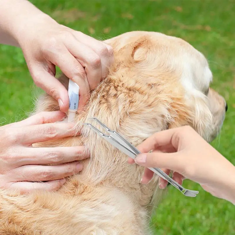 Tick Removal Kit