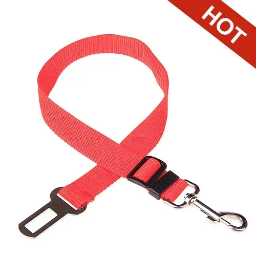 Adjustable Seat Belt Lead