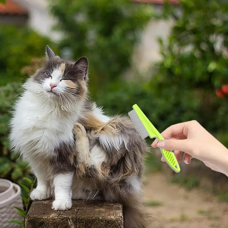 Tick Removal Kit