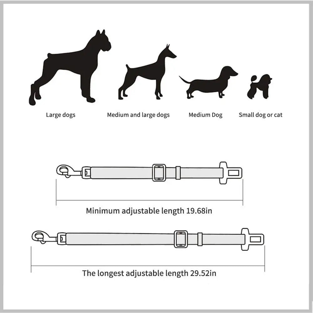 Adjustable Seat Belt Lead