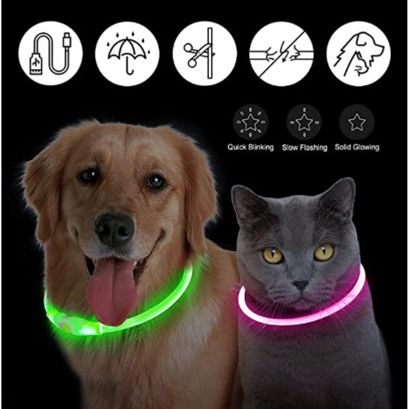 LED Collar