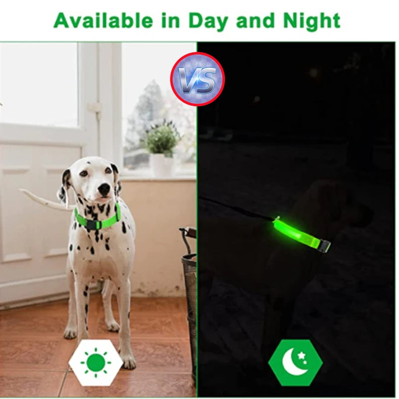 LED Collar