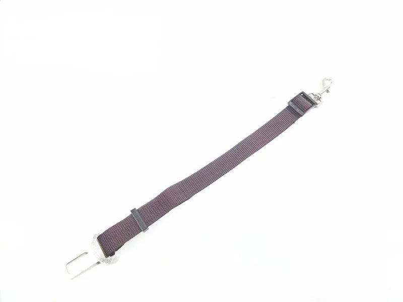 Adjustable Seat Belt Lead