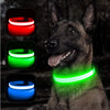 LED Collar