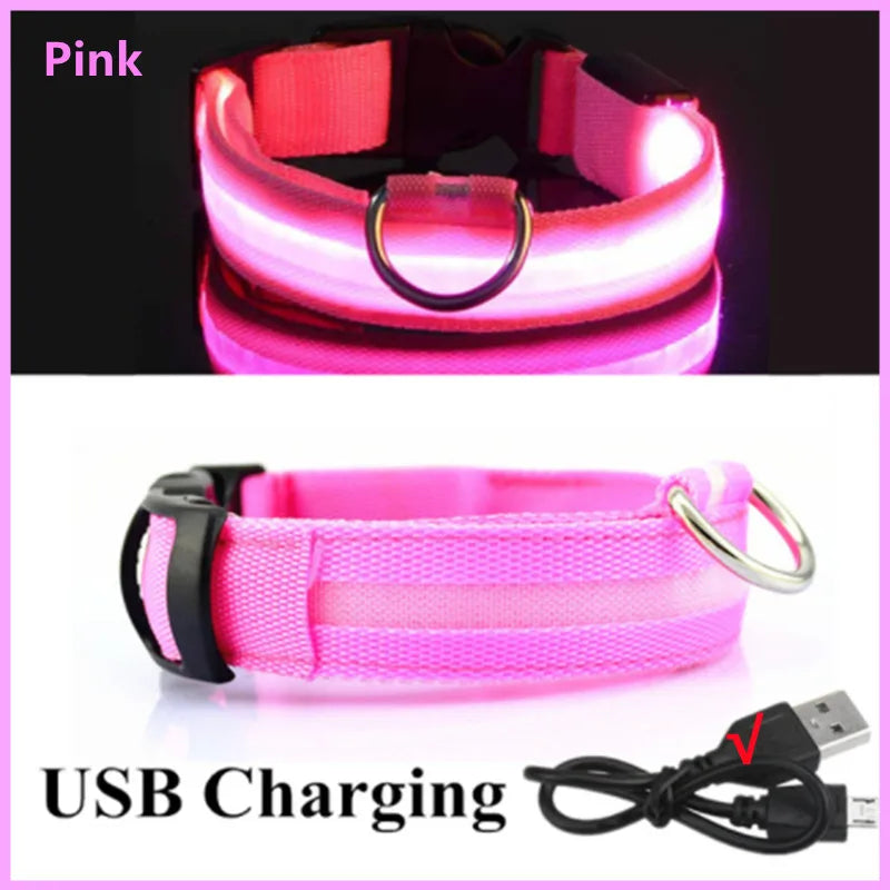 LED Collar